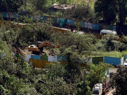 No future tree felling activity in Aarey colony: Mumbai Metro Rail Corporation | No future tree felling activity in Aarey colony: Mumbai Metro Rail Corporation