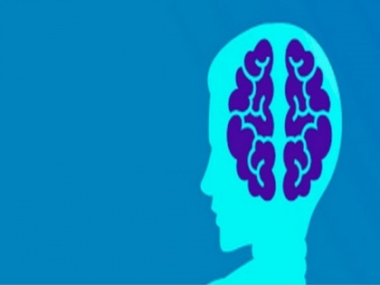 Study reveals brain network mechanism causing spatial memory impairment | Study reveals brain network mechanism causing spatial memory impairment