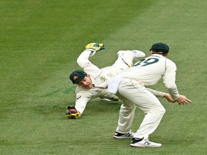 Ind vs Aus: Need to credit India, we played some poor cricket, says Paine | Ind vs Aus: Need to credit India, we played some poor cricket, says Paine