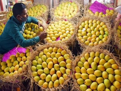 As mango supply falls in Telangana, prices soar, fruit dealers, customers discontented | As mango supply falls in Telangana, prices soar, fruit dealers, customers discontented