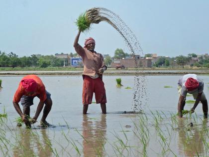 Traction in rural recovery could lose pace if weather impact is severe | Traction in rural recovery could lose pace if weather impact is severe Traction in rural recovery could lose pace if weather impact is severe | Traction in rural recovery could lose pace if weather impact is severe