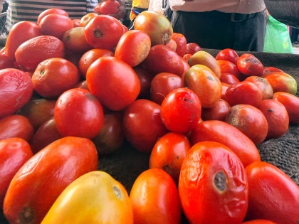 Tomatoes worth Rs 3 lakh stolen from farm in Karnataka's Hassan | Tomatoes worth Rs 3 lakh stolen from farm in Karnataka's Hassan