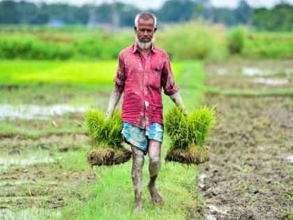 UP farmers to get additional income from carbon credits | UP farmers to get additional income from carbon credits