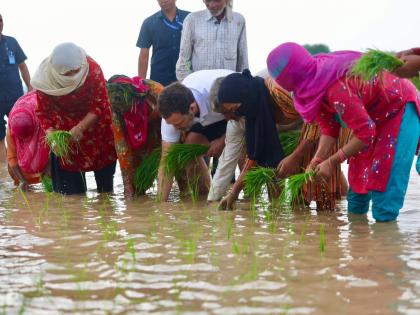 Rahul invites Sonepat farmers whom he met last week for lunch | Rahul invites Sonepat farmers whom he met last week for lunch Rahul invites Sonepat farmers whom he met last week for lunch | Rahul invites Sonepat farmers whom he met last week for lunch