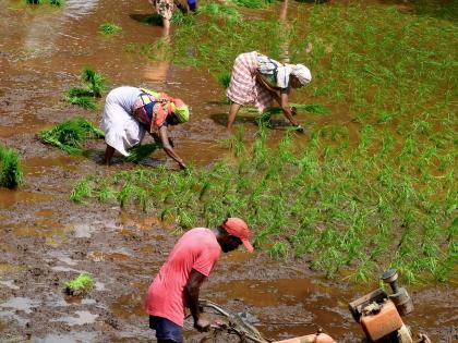 TN farmers to protest on Aug 15 against state govt | TN farmers to protest on Aug 15 against state govt TN farmers to protest on Aug 15 against state govt | TN farmers to protest on Aug 15 against state govt