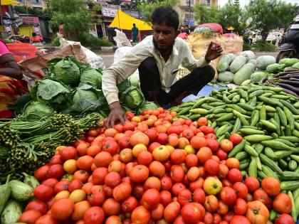 With increased supplies, tomato prices in UP fall to Rs 100/kg | With increased supplies, tomato prices in UP fall to Rs 100/kg