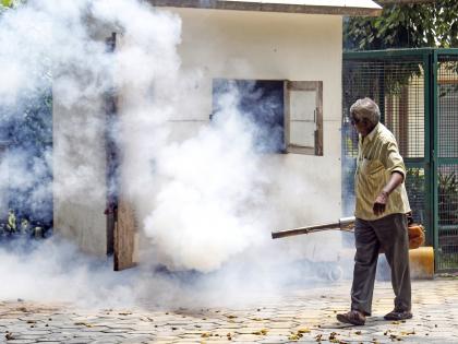 94 dengue cases confirmed in Gurugram this year | 94 dengue cases confirmed in Gurugram this year