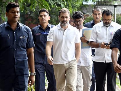 'Whole India is my home': Rahul Gandhi on getting back his official bungalow | 'Whole India is my home': Rahul Gandhi on getting back his official bungalow