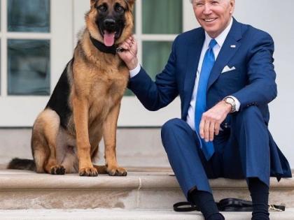 Biden's dog bites Secret Service agent | Biden's dog bites Secret Service agent Biden's dog bites Secret Service agent | Biden's dog bites Secret Service agent