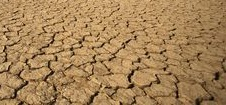 Zimbabwe declares national disaster due to drought | Zimbabwe declares national disaster due to drought
