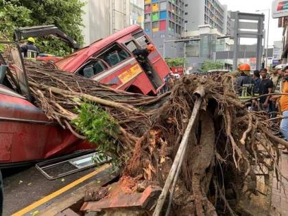 Tree falls on bus in Colombo, 5 dead | Tree falls on bus in Colombo, 5 dead Tree falls on bus in Colombo, 5 dead | Tree falls on bus in Colombo, 5 dead