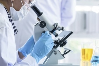 Scientists find multitude of genes associated with autism | Scientists find multitude of genes associated with autism Scientists find multitude of genes associated with autism | Scientists find multitude of genes associated with autism