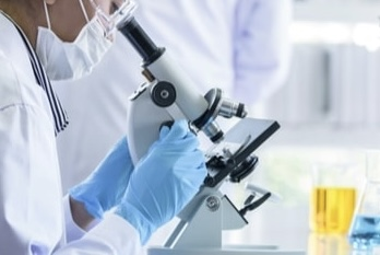 Scientists develop new antibiotic that can kill drug-resistant superbug | Scientists develop new antibiotic that can kill drug-resistant superbug Scientists develop new antibiotic that can kill drug-resistant superbug | Scientists develop new antibiotic that can kill drug-resistant superbug