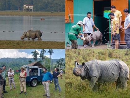 Illegal trade a big threat to one-horned rhino's survival: Experts | Illegal trade a big threat to one-horned rhino's survival: Experts Illegal trade a big threat to one-horned rhino's survival: Experts | Illegal trade a big threat to one-horned rhino's survival: Experts