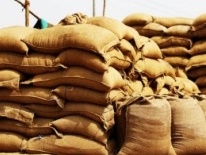 TN govt intensifies checking to prevent PDS rice smuggling to Kerala | TN govt intensifies checking to prevent PDS rice smuggling to Kerala