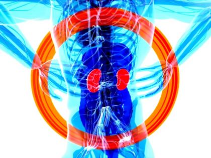 India’s nephrology, urology device mkt to grow at 4% CAGR by 2030: Report | India’s nephrology, urology device mkt to grow at 4% CAGR by 2030: Report