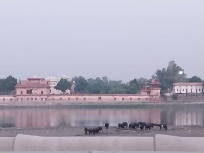 Ahead of Yogi's visit, river activists raise pitch for barrage on Yamuna to protect Taj | Ahead of Yogi's visit, river activists raise pitch for barrage on Yamuna to protect Taj Ahead of Yogi's visit, river activists raise pitch for barrage on Yamuna to protect Taj | Ahead of Yogi's visit, river activists raise pitch for barrage on Yamuna to protect Taj
