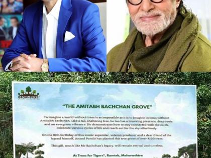 Celebrating Big B’s 81st b’day, Anand Pandit dedicates 8,100 trees to megastar | Celebrating Big B’s 81st b’day, Anand Pandit dedicates 8,100 trees to megastar