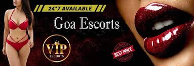 Goa party women's wing demands blocking of 'escort' websites | Goa party women's wing demands blocking of 'escort' websites Goa party women's wing demands blocking of 'escort' websites | Goa party women's wing demands blocking of 'escort' websites
