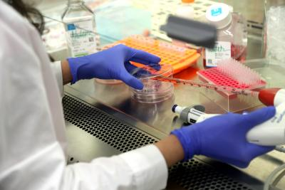Researchers use diabetes medication as effective drug therapy for sleep-related disorder | Researchers use diabetes medication as effective drug therapy for sleep-related disorder Researchers use diabetes medication as effective drug therapy for sleep-related disorder | Researchers use diabetes medication as effective drug therapy for sleep-related disorder