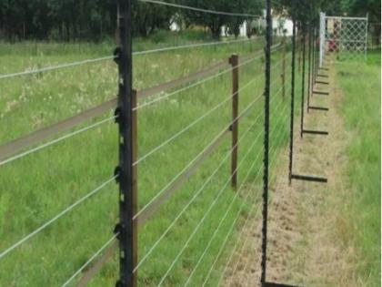 Solar fencing of UP wildlife sanctuaries, process begins | Solar fencing of UP wildlife sanctuaries, process begins Solar fencing of UP wildlife sanctuaries, process begins | Solar fencing of UP wildlife sanctuaries, process begins