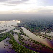 Brazil's Rio Negro river registers lowest water level since 1902 | Brazil's Rio Negro river registers lowest water level since 1902 Brazil's Rio Negro river registers lowest water level since 1902 | Brazil's Rio Negro river registers lowest water level since 1902