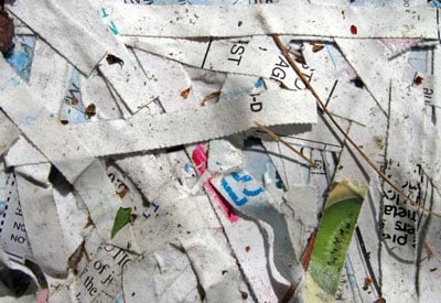 Transaction slips of crores, wrappers of note bundles found in garbage heap in Jaipur | Transaction slips of crores, wrappers of note bundles found in garbage heap in Jaipur Transaction slips of crores, wrappers of note bundles found in garbage heap in Jaipur | Transaction slips of crores, wrappers of note bundles found in garbage heap in Jaipur