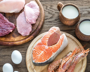 Strength training may lower health risks of high-protein diet: Study | Strength training may lower health risks of high-protein diet: Study Strength training may lower health risks of high-protein diet: Study | Strength training may lower health risks of high-protein diet: Study