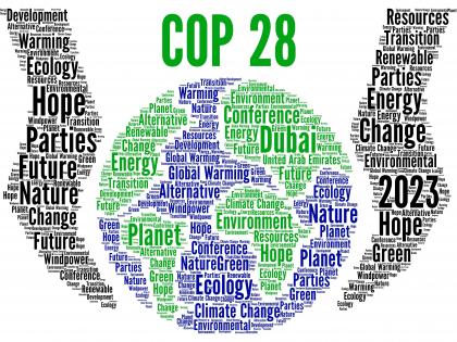 Business leaders call to accelerate net-zero actions | Business leaders call to accelerate net-zero actions Business leaders call to accelerate net-zero actions | Business leaders call to accelerate net-zero actions