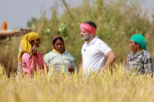 Farm loan waivers: Has Congress used it as poll promise or did it walk the talk? | Farm loan waivers: Has Congress used it as poll promise or did it walk the talk? Farm loan waivers: Has Congress used it as poll promise or did it walk the talk? | Farm loan waivers: Has Congress used it as poll promise or did it walk the talk?