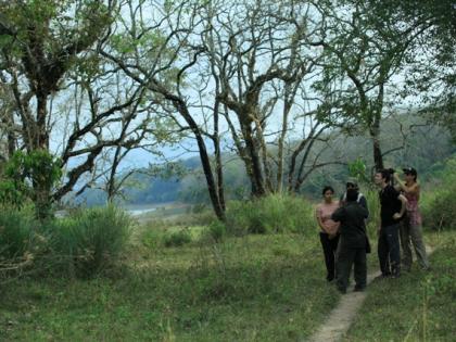 Kerala forest watchers escape unhurt after Maoists open fire | Kerala forest watchers escape unhurt after Maoists open fire