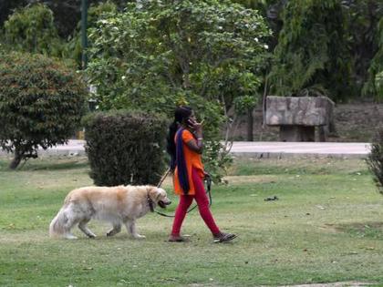 Woman sets dog on another woman who objected to pet defecating in park | Woman sets dog on another woman who objected to pet defecating in park