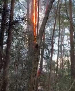 Bushfires destroy 85 structures in Australia | Bushfires destroy 85 structures in Australia