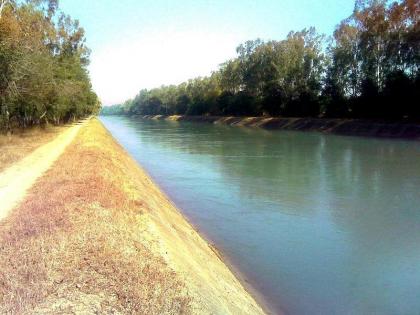 Akali Dal urged to lead for evolving strategy on saving Punjab waters | Akali Dal urged to lead for evolving strategy on saving Punjab waters