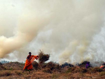 Explained: SC directions to states and Centre to stop stubble burning | Explained: SC directions to states and Centre to stop stubble burning Explained: SC directions to states and Centre to stop stubble burning | Explained: SC directions to states and Centre to stop stubble burning