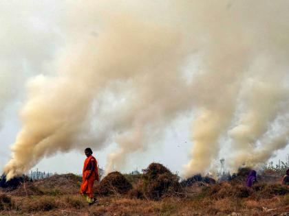 Two facilities to reduce stubble burning in 40,000 acres in Punjab | Two facilities to reduce stubble burning in 40,000 acres in Punjab