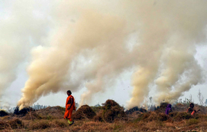 Consider arrests, strict action to curb stubble burning: SC to govt | Consider arrests, strict action to curb stubble burning: SC to govt