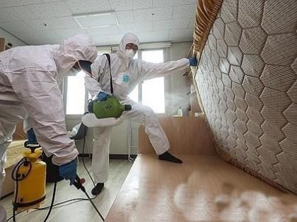 Seoul to launch 'fight' against bedbugs amid nationwide reports | Seoul to launch 'fight' against bedbugs amid nationwide reports