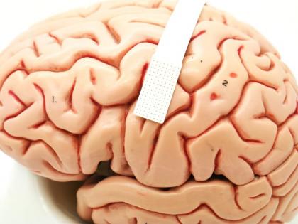 New brain implant shows promise to translate speech from thoughts | New brain implant shows promise to translate speech from thoughts New brain implant shows promise to translate speech from thoughts | New brain implant shows promise to translate speech from thoughts