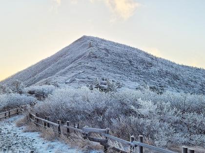 Seoul witnesses season's first ice, frost amid cold snap | Seoul witnesses season's first ice, frost amid cold snap Seoul witnesses season's first ice, frost amid cold snap | Seoul witnesses season's first ice, frost amid cold snap