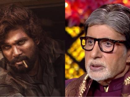Amitabh calls Allu Arjun 'brilliant actor'; praises his 'Srivalli' dance step | Amitabh calls Allu Arjun 'brilliant actor'; praises his 'Srivalli' dance step Amitabh calls Allu Arjun 'brilliant actor'; praises his 'Srivalli' dance step | Amitabh calls Allu Arjun 'brilliant actor'; praises his 'Srivalli' dance step