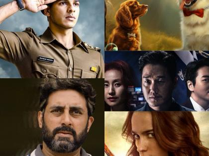 Diwali delights: ‘Pippa’, ‘Ghoomer’, ‘Valatty’ to sparkle on OTT | Diwali delights: ‘Pippa’, ‘Ghoomer’, ‘Valatty’ to sparkle on OTT Diwali delights: ‘Pippa’, ‘Ghoomer’, ‘Valatty’ to sparkle on OTT | Diwali delights: ‘Pippa’, ‘Ghoomer’, ‘Valatty’ to sparkle on OTT