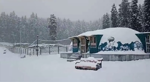 Light snowfall in hills, rain in plains of J&K | Light snowfall in hills, rain in plains of J&K Light snowfall in hills, rain in plains of J&K | Light snowfall in hills, rain in plains of J&K