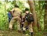 Kerala Police, Maoists exchange fire in Kannur forest | Kerala Police, Maoists exchange fire in Kannur forest