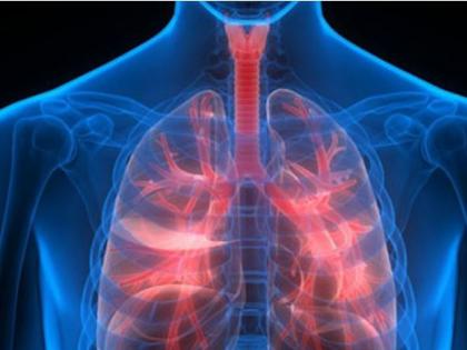 Most Americans not concerned about respiratory illnesses despite severe risks | Most Americans not concerned about respiratory illnesses despite severe risks