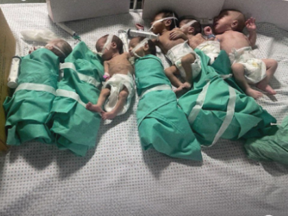 Another premature baby dies in Gaza's Al-Shifa Hospital, total reaches 5 | Another premature baby dies in Gaza's Al-Shifa Hospital, total reaches 5
