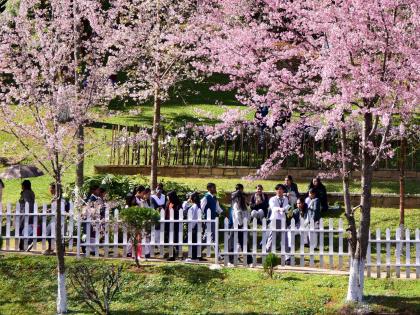 Meghalaya’s tourism sector to reach Rs 12,000 cr in next 5 yrs: Govt official | Meghalaya’s tourism sector to reach Rs 12,000 cr in next 5 yrs: Govt official