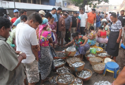 Goa minister urges fish selling agents to lodge complaint against ‘protection money’ demand | Goa minister urges fish selling agents to lodge complaint against ‘protection money’ demand Goa minister urges fish selling agents to lodge complaint against ‘protection money’ demand | Goa minister urges fish selling agents to lodge complaint against ‘protection money’ demand