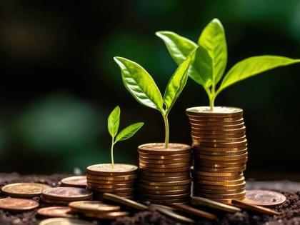 Mutual fund holdings beyond top 500 stocks spike to 2018 highs | Mutual fund holdings beyond top 500 stocks spike to 2018 highs