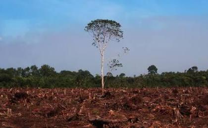 How land loss, freakish weather & debt crisis impact Pak's climate resilience | How land loss, freakish weather & debt crisis impact Pak's climate resilience How land loss, freakish weather & debt crisis impact Pak's climate resilience | How land loss, freakish weather & debt crisis impact Pak's climate resilience